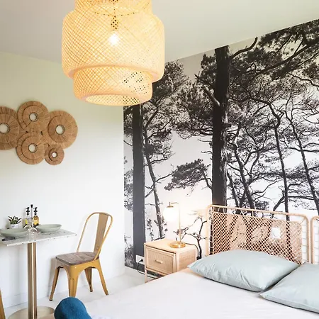 Les Saules - Calme&confortable - Lit Queen Size - Vue Sur étang à 10mn Du Touquet